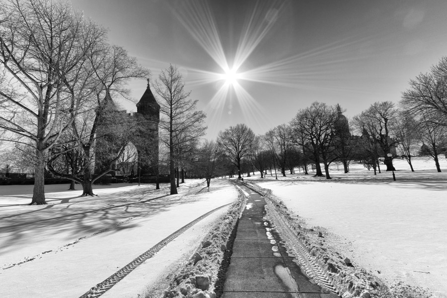 Bushnell BW
