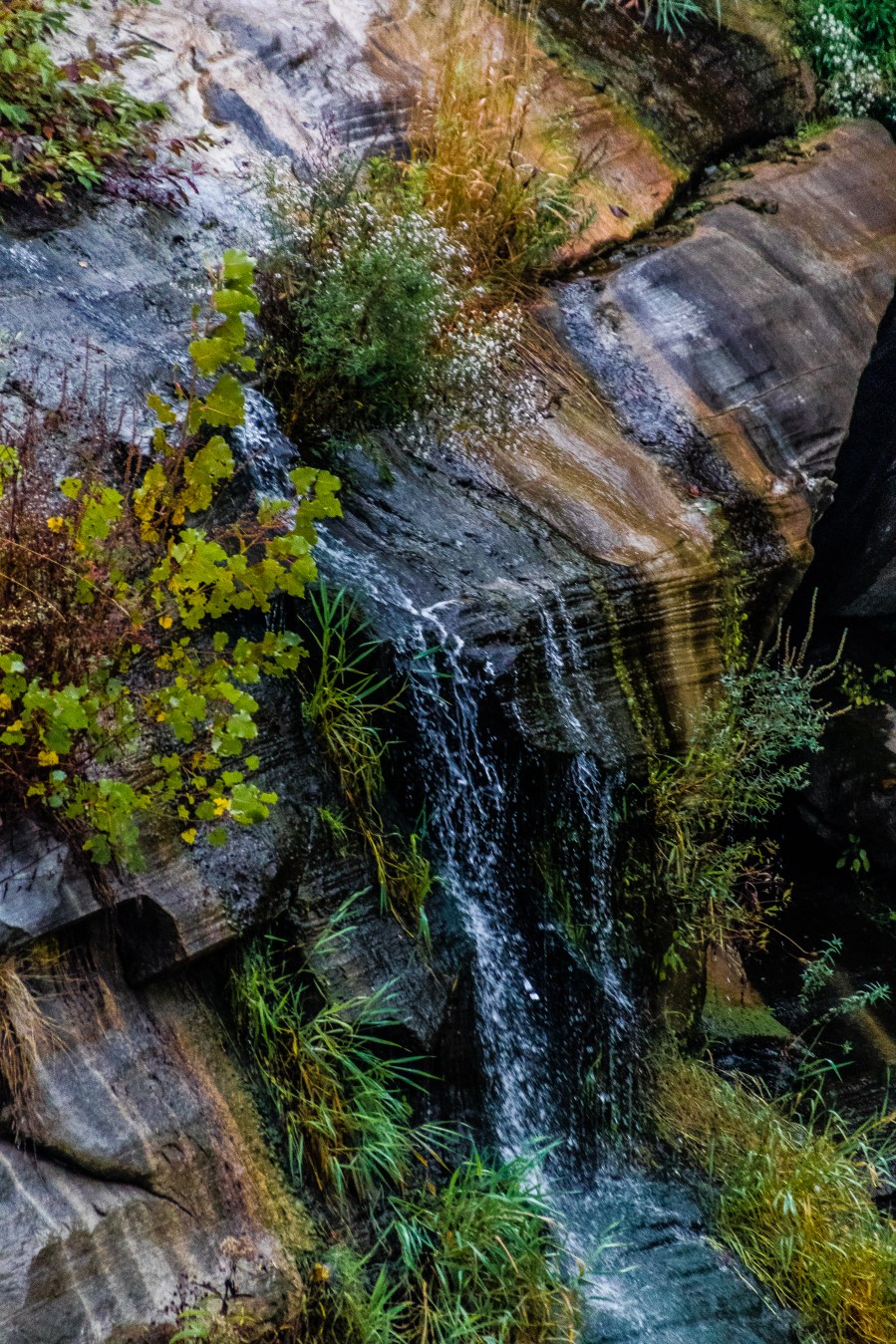 Falls