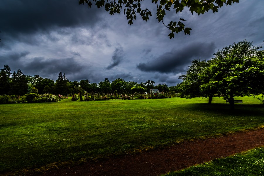 Stormy Day