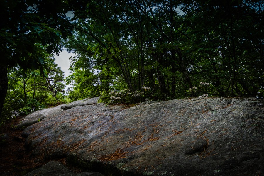 The climb