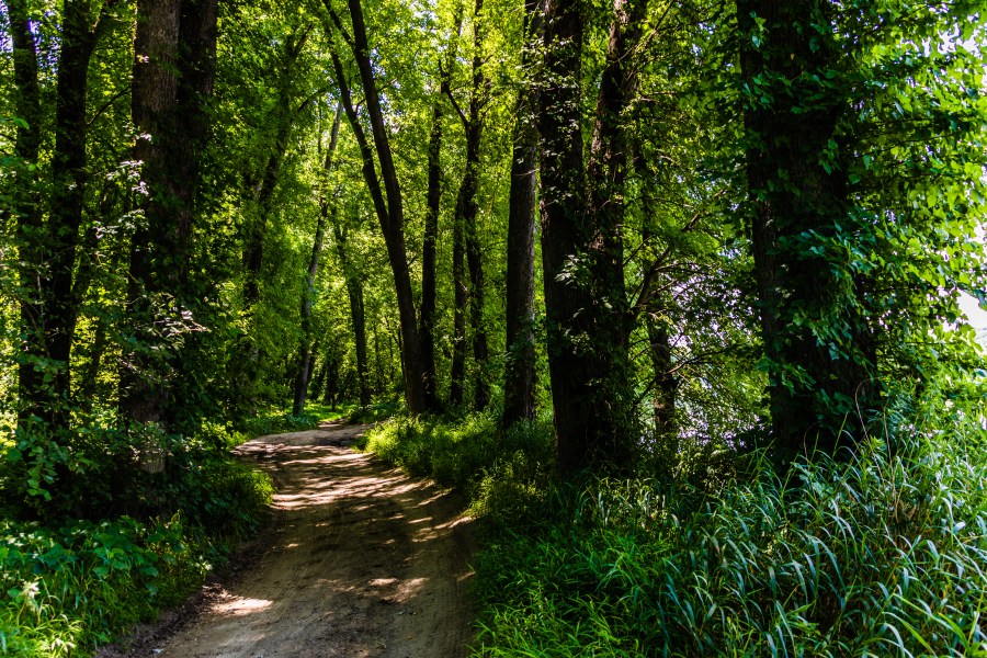the road