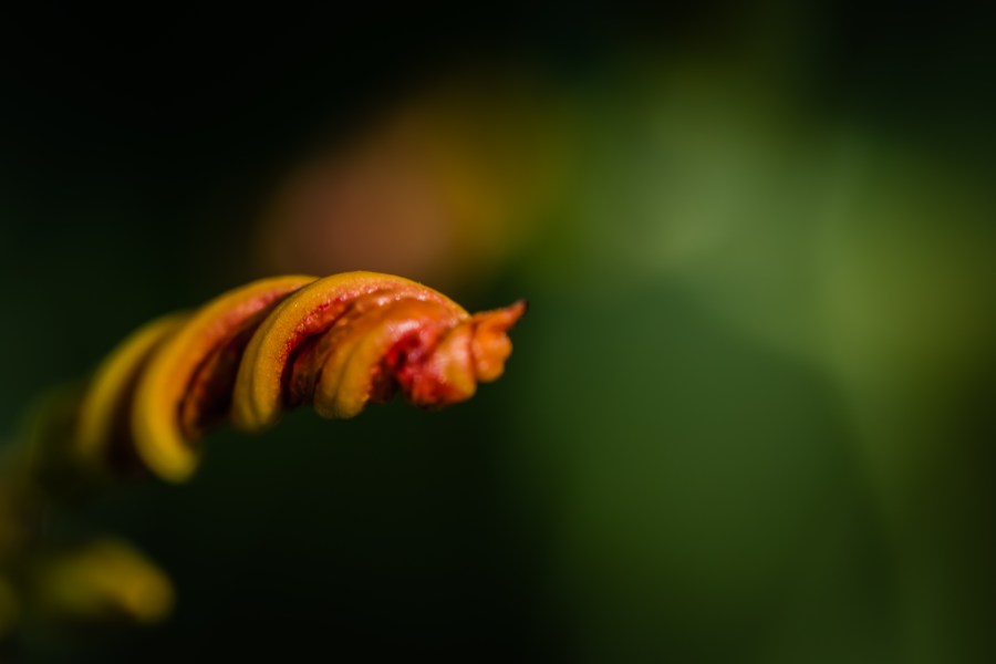 twisted