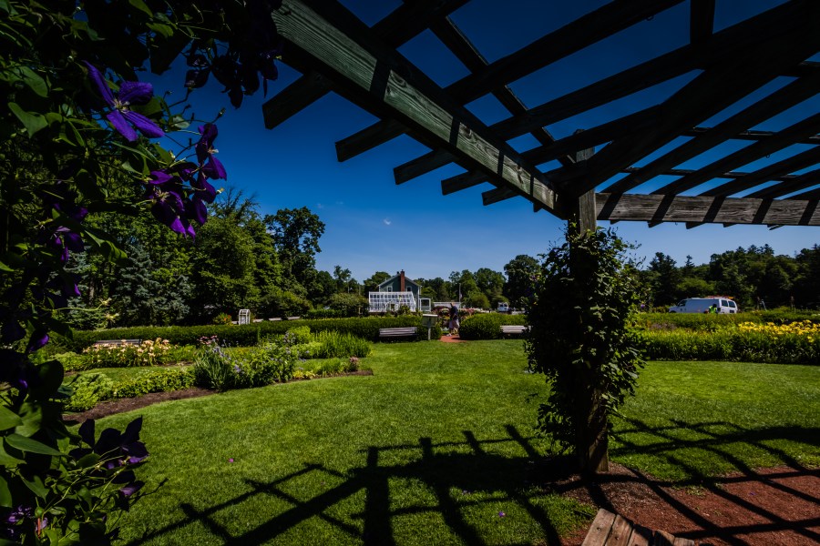 The view towards the greenhouse