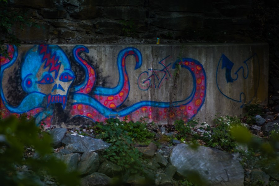 gdf