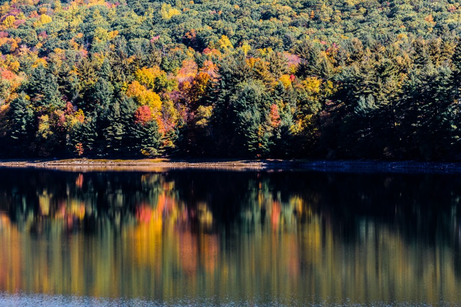 Explosion of color