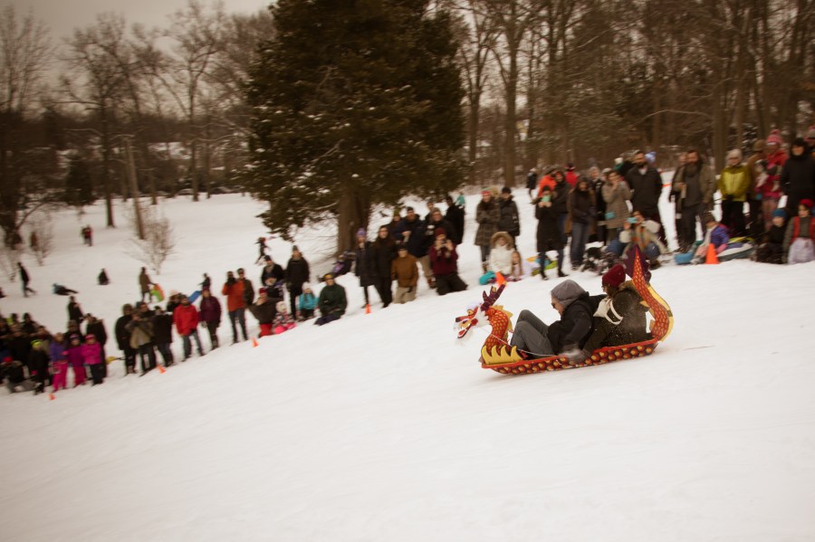 dragon-sled-1