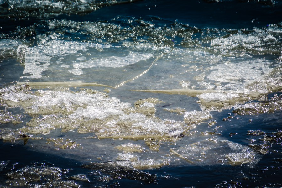 Floe