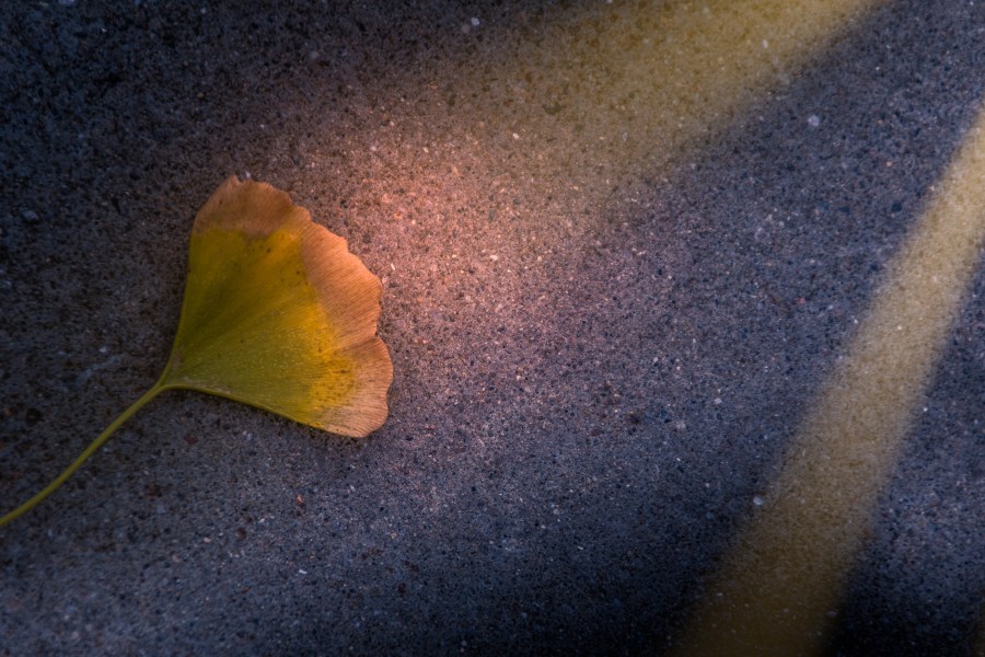 See the light