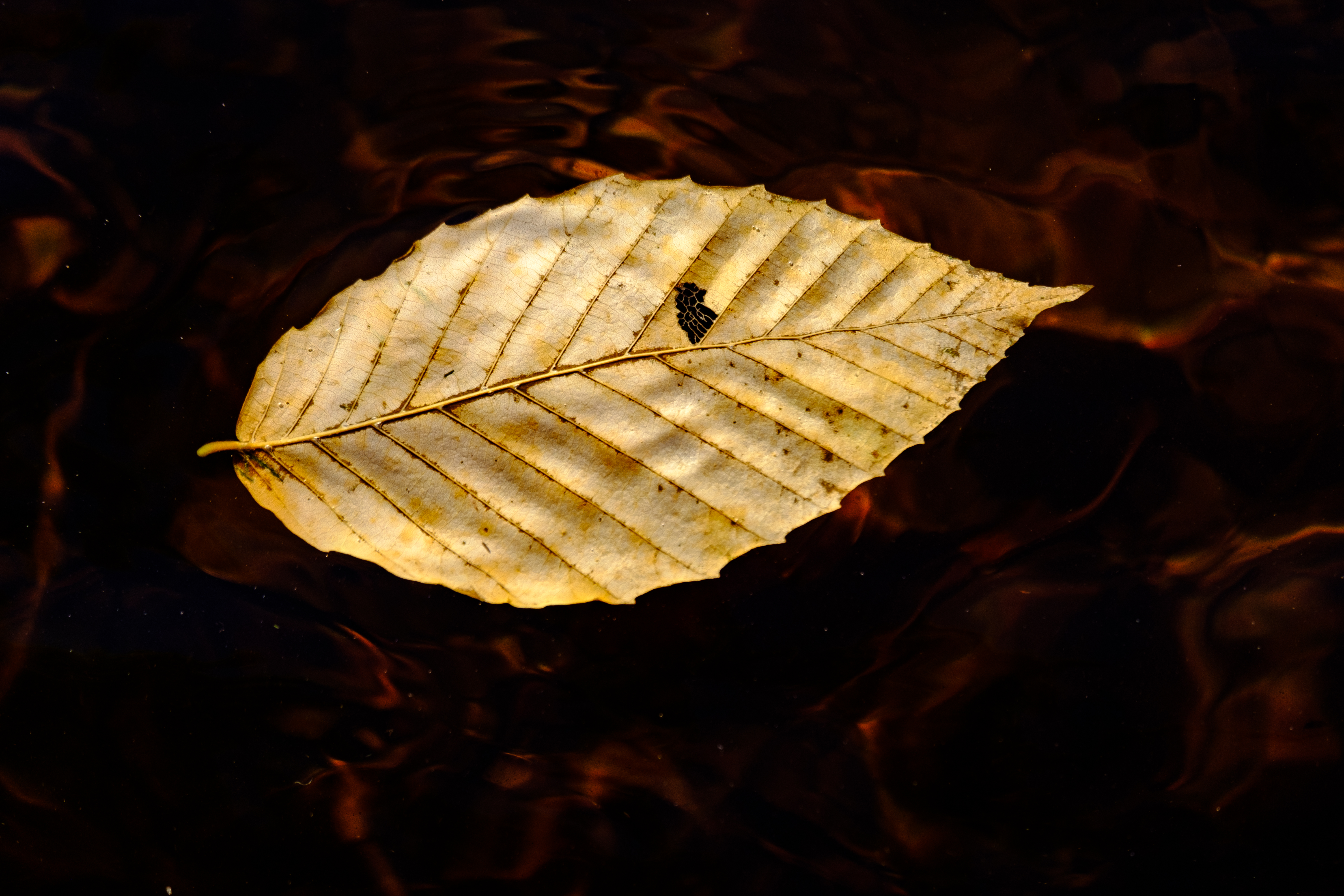 Floating