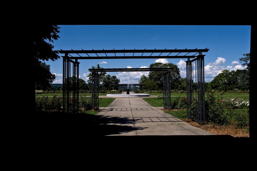 Walnut Hill Park